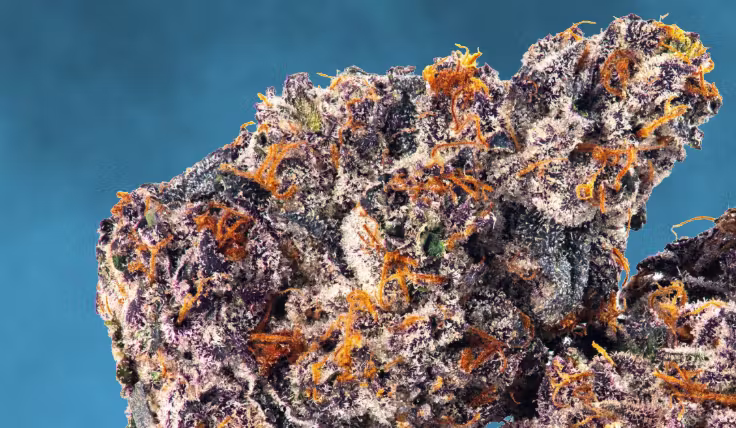 cannabis flower